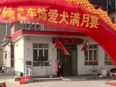 当事人回应给狗办满月宴 任先生如何回应？
