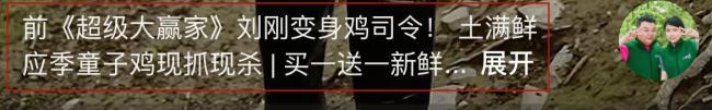 前央视主持人被曝转行养鸡