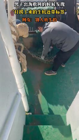 男子出海打捞上来的生蚝带商品标签 