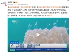 海边像塑料袋一样的物体别碰 我国沿海有30多种水母会蜇人！