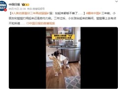 人类幼崽蛰伏三年再战猫猫 猫猫看上去有点不知所措！