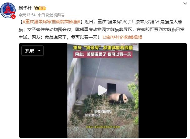 重庆猫景房家里就能看熊猫 