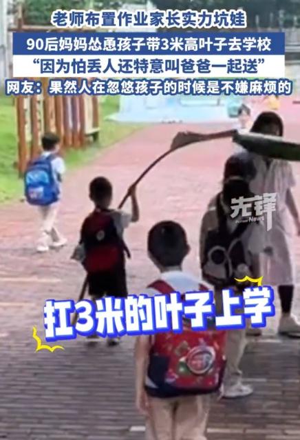 萌娃举3米高叶子去学校回头率爆表