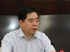 追求低级趣味 92年出生的李雪被双开 李雪个人简介！