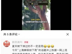 上海市民崩溃:今年的蝉为啥这么多 究竟原因是什么？