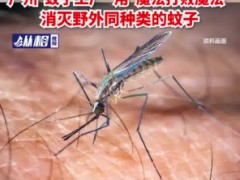 全球最大蚊子工厂在巴西建成 繁殖产生携带细菌的后代！