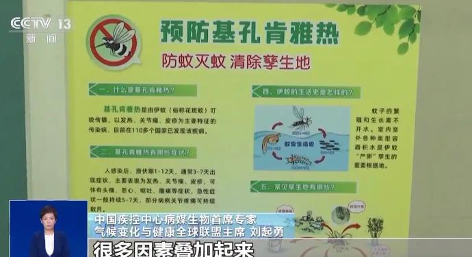 确诊超4000例 基孔肯雅热啥来头