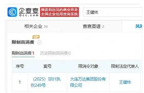 王健林被限制高消费
