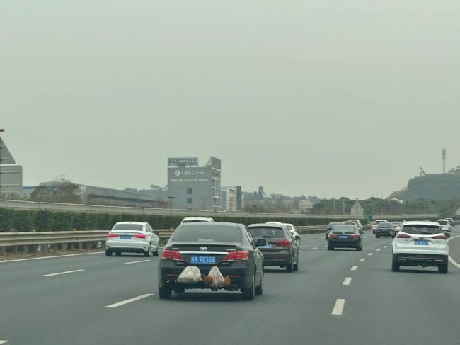 返程高速上的车尾挂满鸡鸭大鹅 安全隐患引热议