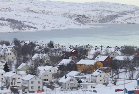 北极4万年古生物正在苏醒