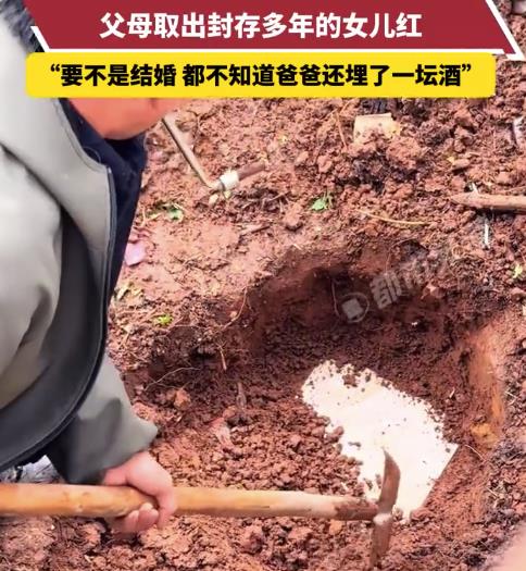 女子即将结婚 父母取出封存的女儿红
