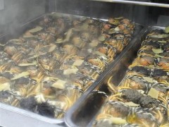 华科大食堂开售8.8元一只大闸蟹 师生抢鲜热情高涨