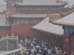 人人人人故宫雪人人人人 女子提前5天预约只为赴故宫赏雪!(图)