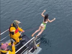 女演员任敏回应在南极生理期跳冰海,这是一个疯狂决定,祝自己热诚勇敢!