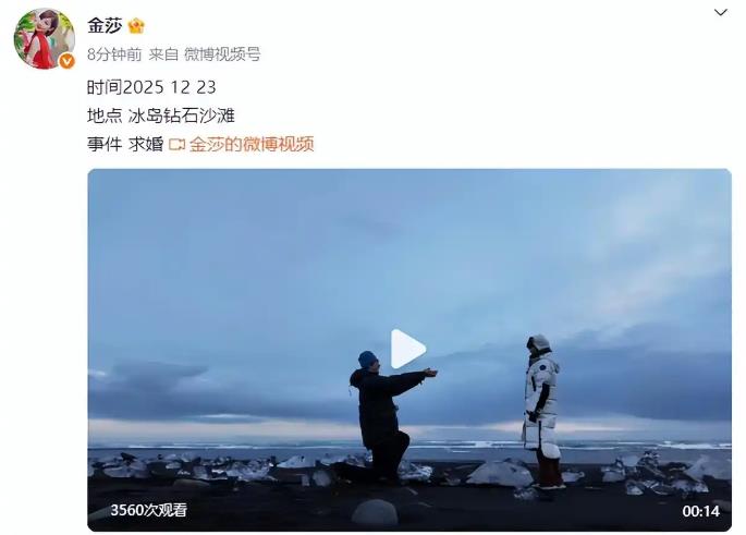 金莎答应男友求婚 两人相差17岁