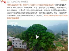 原来金丝楠木不是一种树，今天才知道原来是这样！