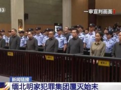 明珍珍当庭忏悔视频曝光 犯罪集团覆灭记