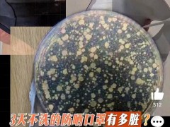 用了3年的防晒口罩有多脏 细菌滋生引关注